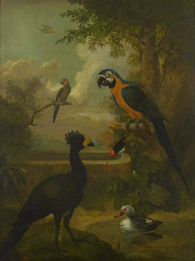 Ara y otros pájaros en un paisaje - Tobias Stranover