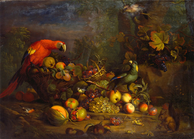 Ara roja, Amazona de nuca amarilla, Pinzón peonero, Carbonero azul, Arrendajo y Ardilla roja con frutas - Tobias Stranover