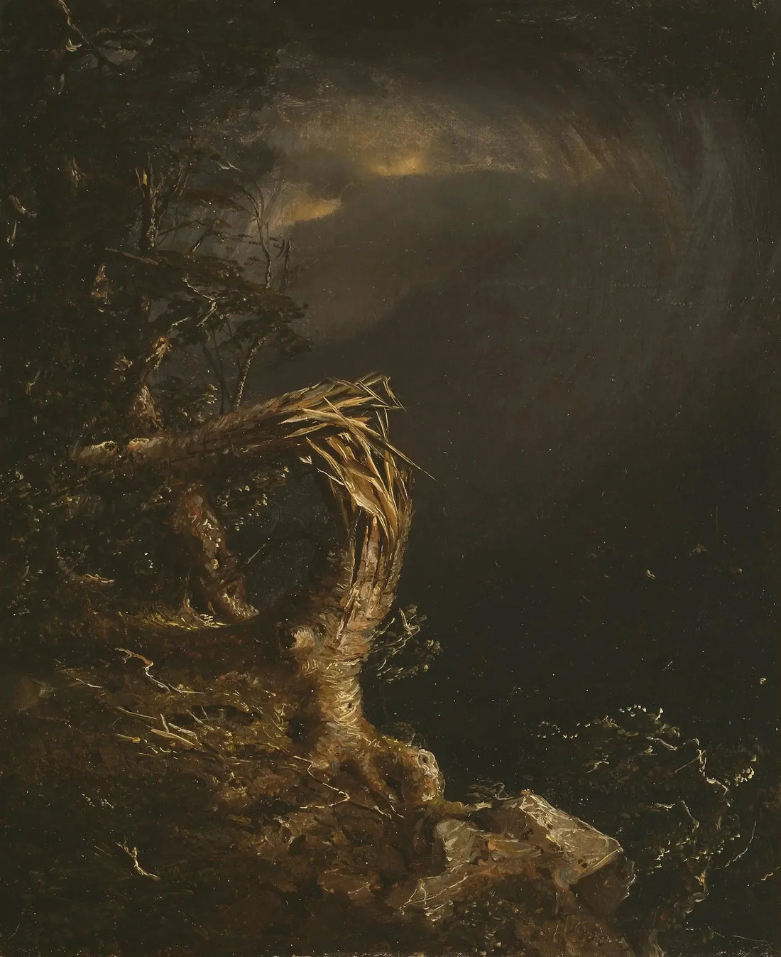 Árbol fulminado - Jasper Francis Cropsey