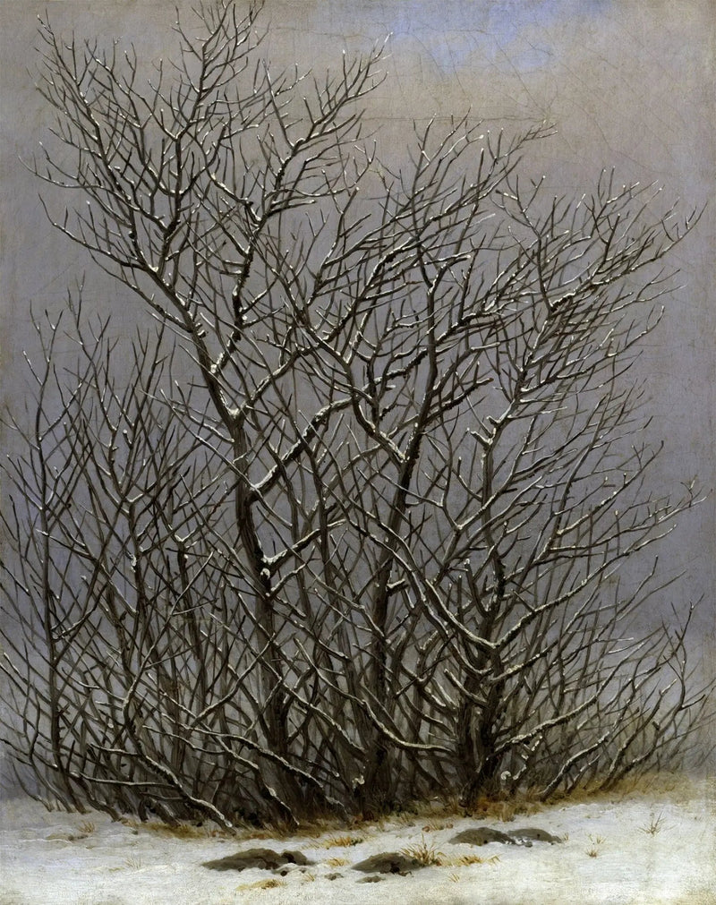 Árboles y arbustos bajo la nieve - Caspar David Friedrich