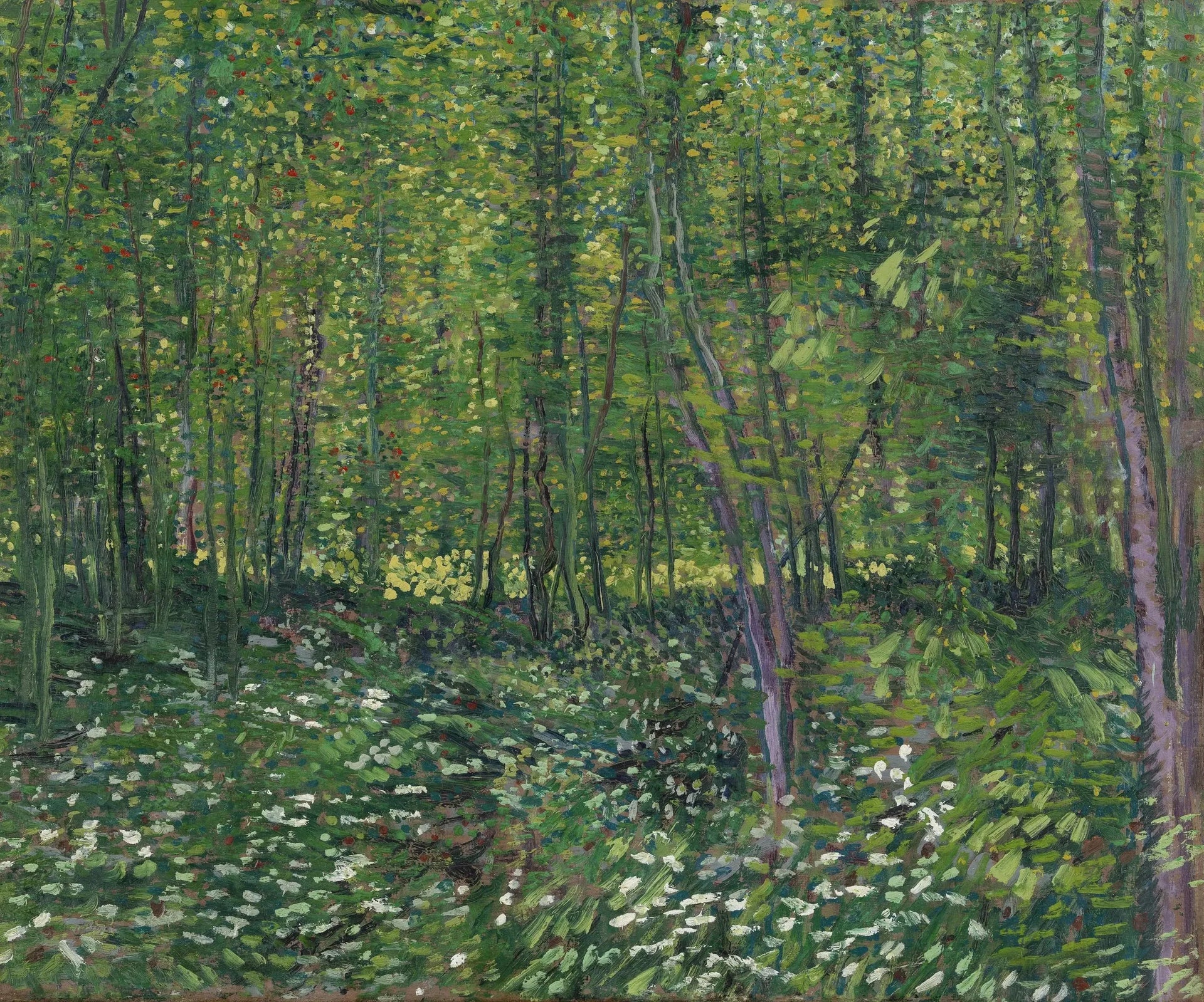 Arbres et sous-bois - Vincent van Gogh image 1 reproduction d’œuvre d’art à l’huile