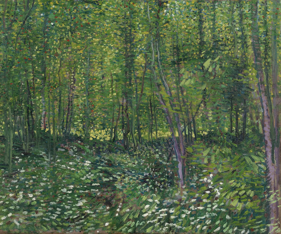 Árboles y sotobosques - Vincent van Gogh