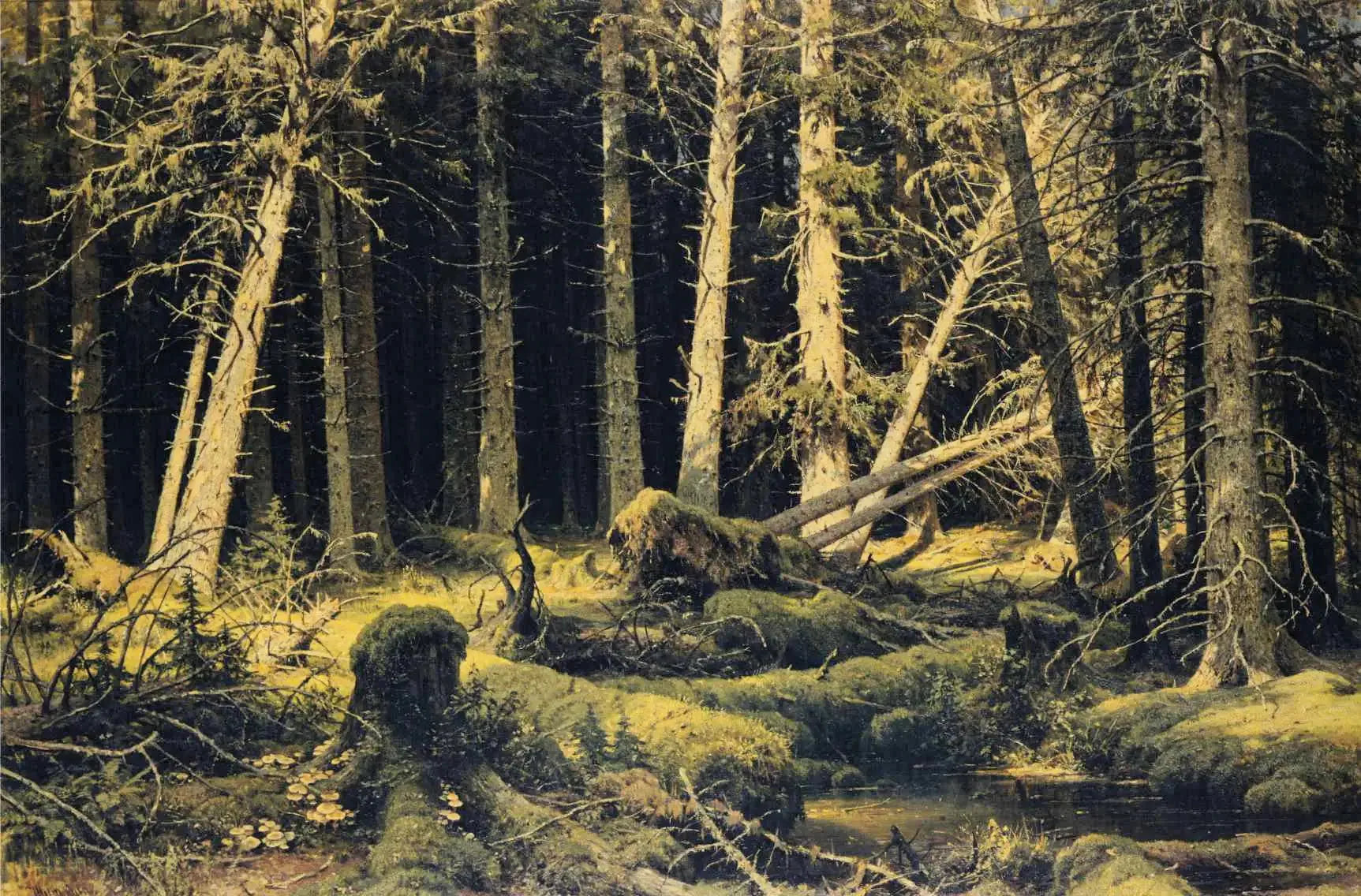 Arbres tombés par le vent - Ivan Chichkine image 1 copie peinte à la main à l’huile