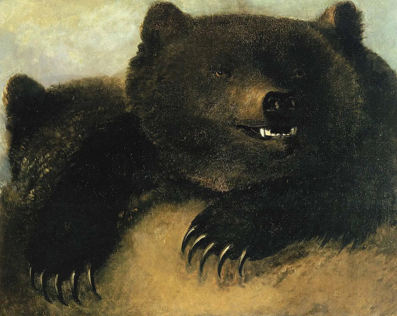 Armas y fisonomía del oso grizzly - George Catlin