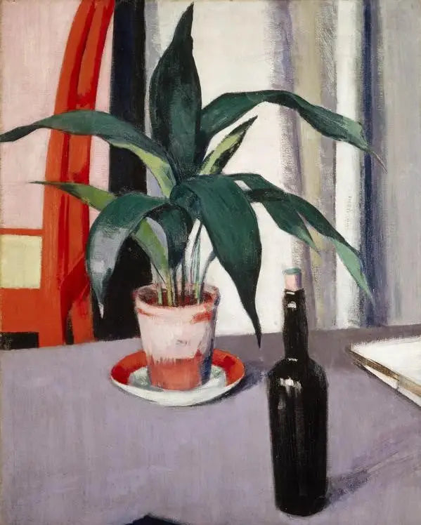 Aspidistra y botella sobre la mesa - Francis Cadell