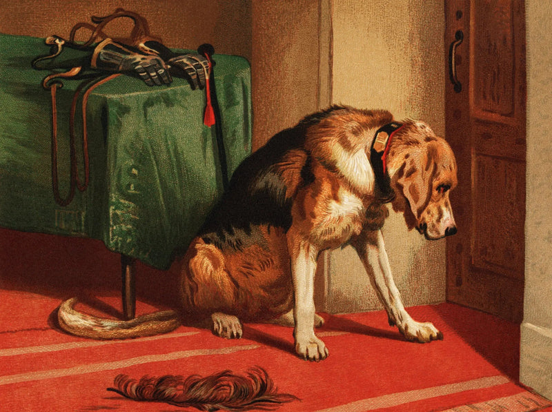 Espera - Edwin Henry Landseer