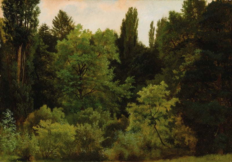 En el corazón de las Montañas Rocosas - Albert Bierstadt