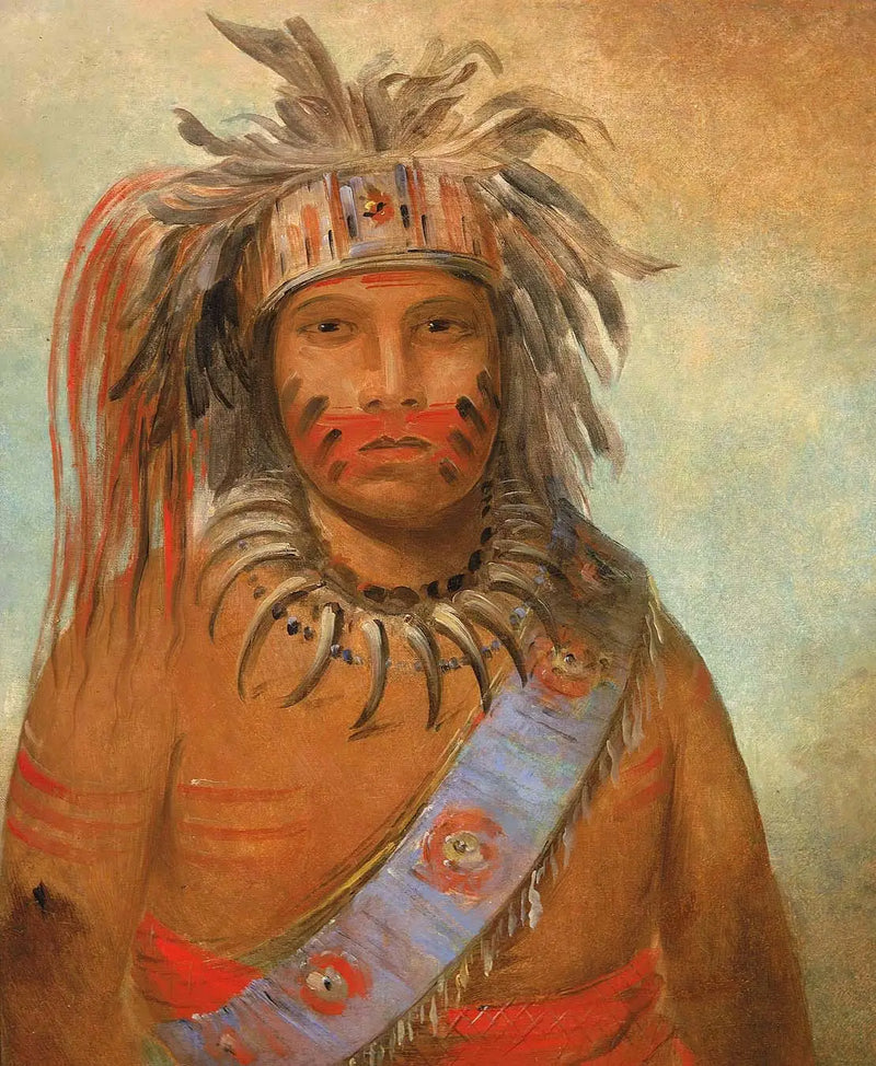 Au-nim-muck-kwa-um, ave de la tormenta - George Catlin