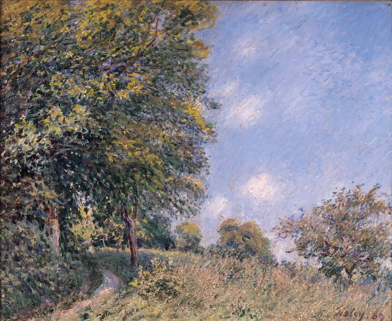 Alrededor del bosque, mañana de julio - Alfred Sisley