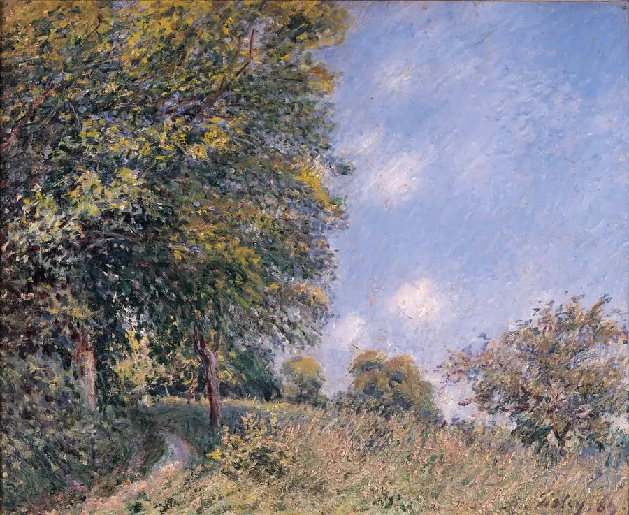 Alrededor del bosque, mañana de julio - Alfred Sisley