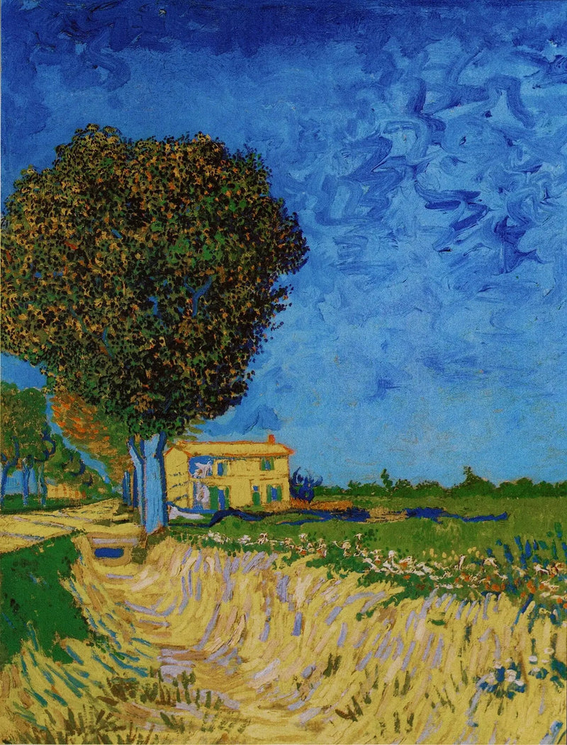 Avenida en Arles con casas - Vincent van Gogh