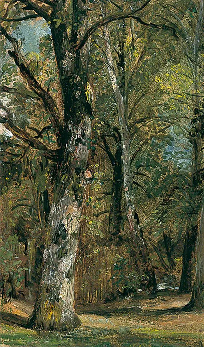 Avenida de los Árboles - John Constable