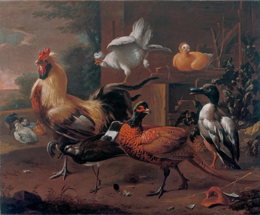 corral - Melchior de Hondecoeter