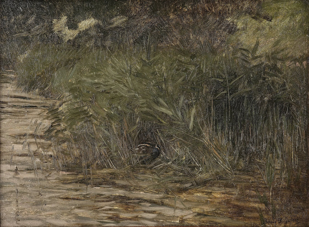 Bécassine dans les roseaux - Bruno Liljefors image 1 reproduction réalisée par Alpha Reproduction