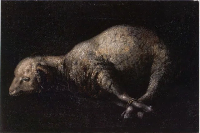 Aries con pies atados - Francisco de Zurbarán