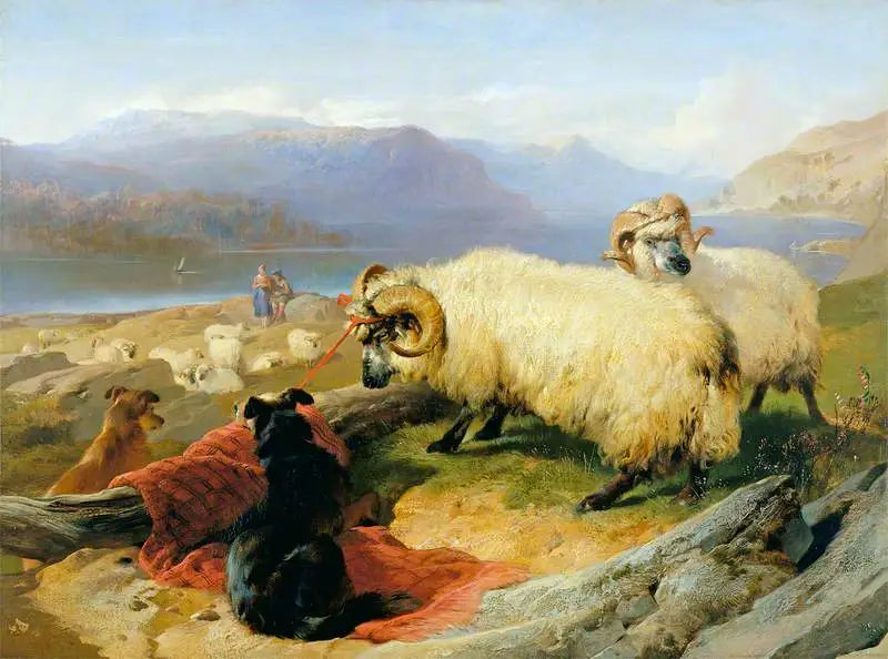 Béliers atados - Edwin Henry Landseer