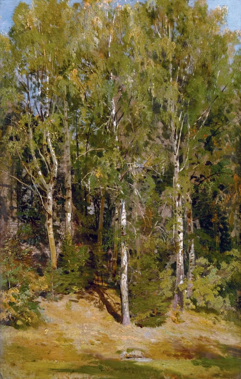 Bosque de abedules - Ivan Chichkine