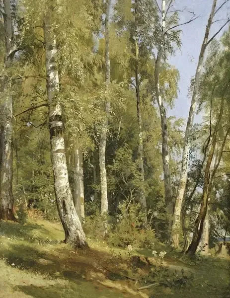 Bosque de abedules - Ivan Chichkine