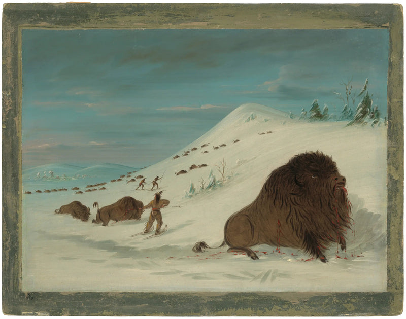 Bisonte lanzándose en las ventisqueros - Sioux - George Catlin