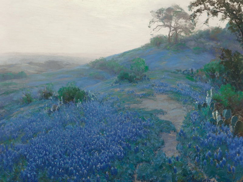 Blue Bonnet Field, temprano por la mañana, San Antonio, Texas - Julian Onderdonk