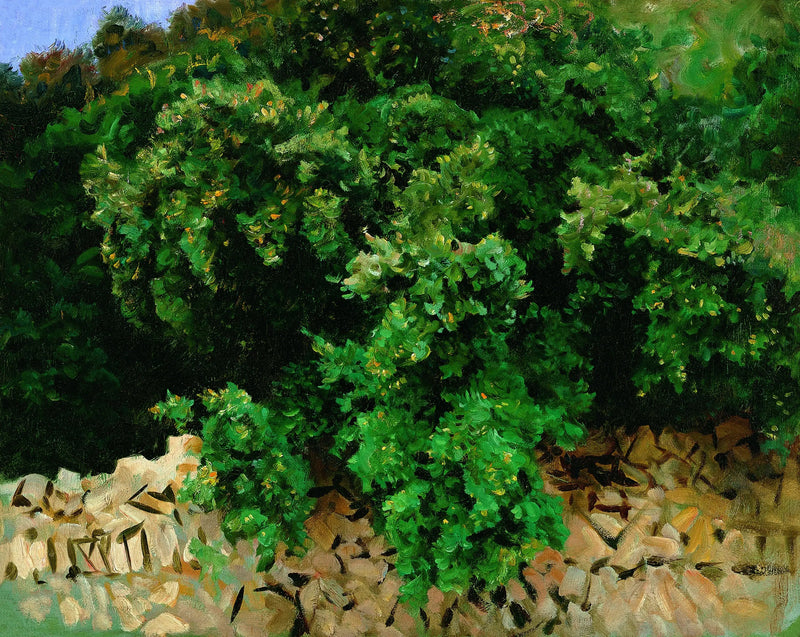 Madera de Ilex. Mallorca - John Singer Sargent