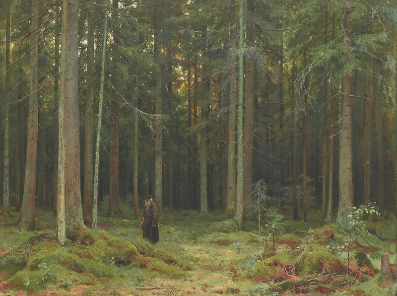 Madera de la condesa Mordvinova. Peterhof - Ivan Chichkine
