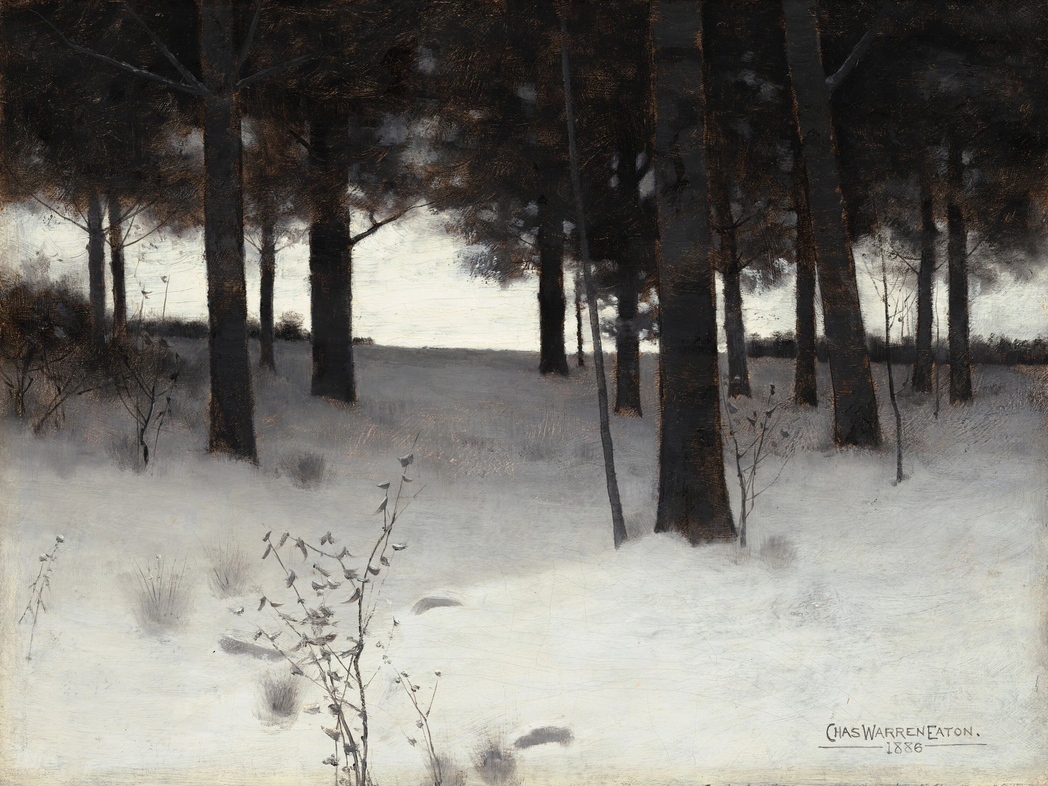 Bois en hiver - Charles Warren Eaton