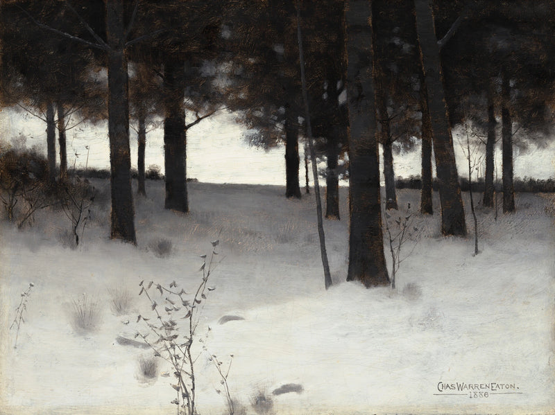 Bois en hiver - Charles Warren Eaton