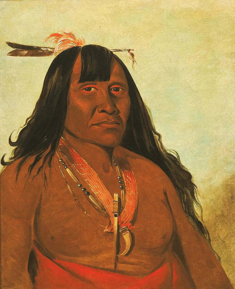 Bón-són-gee, Nuevo Fuego, un chef de banda - George Catlin