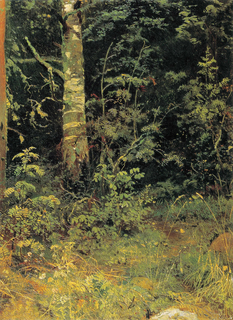 Abedul y serbal - Ivan Chichkine