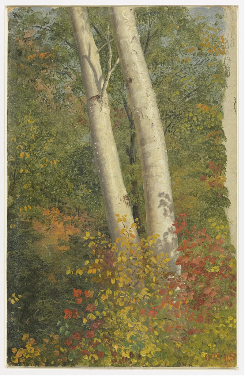 Álamos en otoño - Frederic Edwin Church