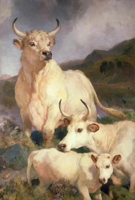 Bovinos salvajes de Chillingham, Northumberland - Edwin Henry Landseer