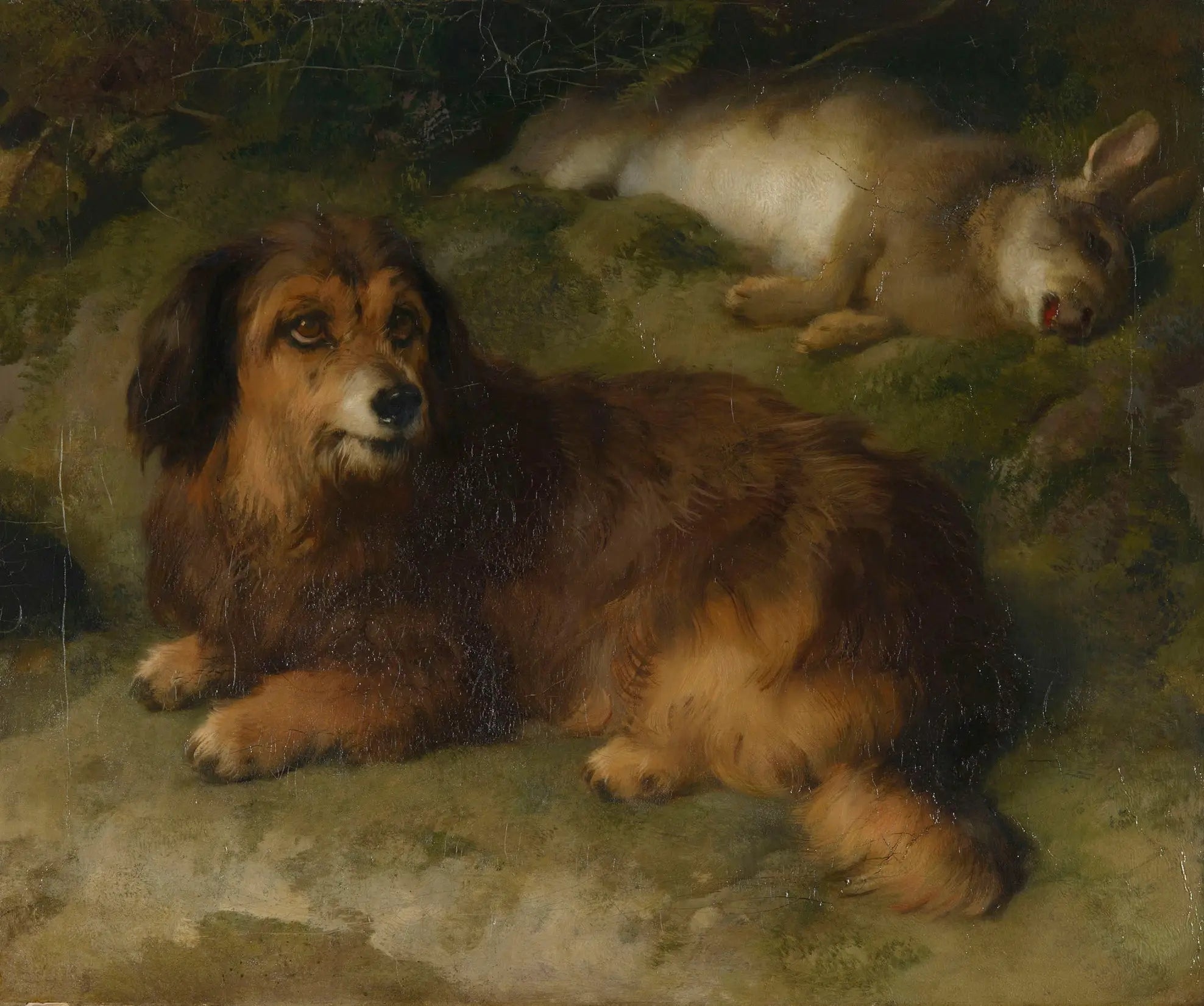 Boz - Edwin Henry Landseer - Alpha Reproduction