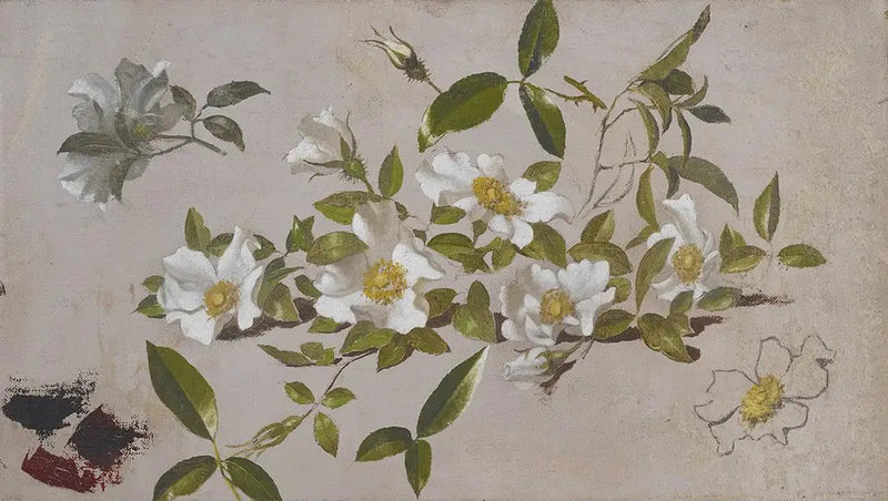 Ramas de rosas Cherokee - Martin Johnson Heade