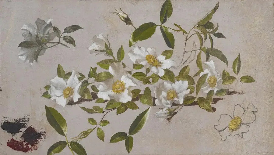 Ramas de rosas Cherokee - Martin Johnson Heade