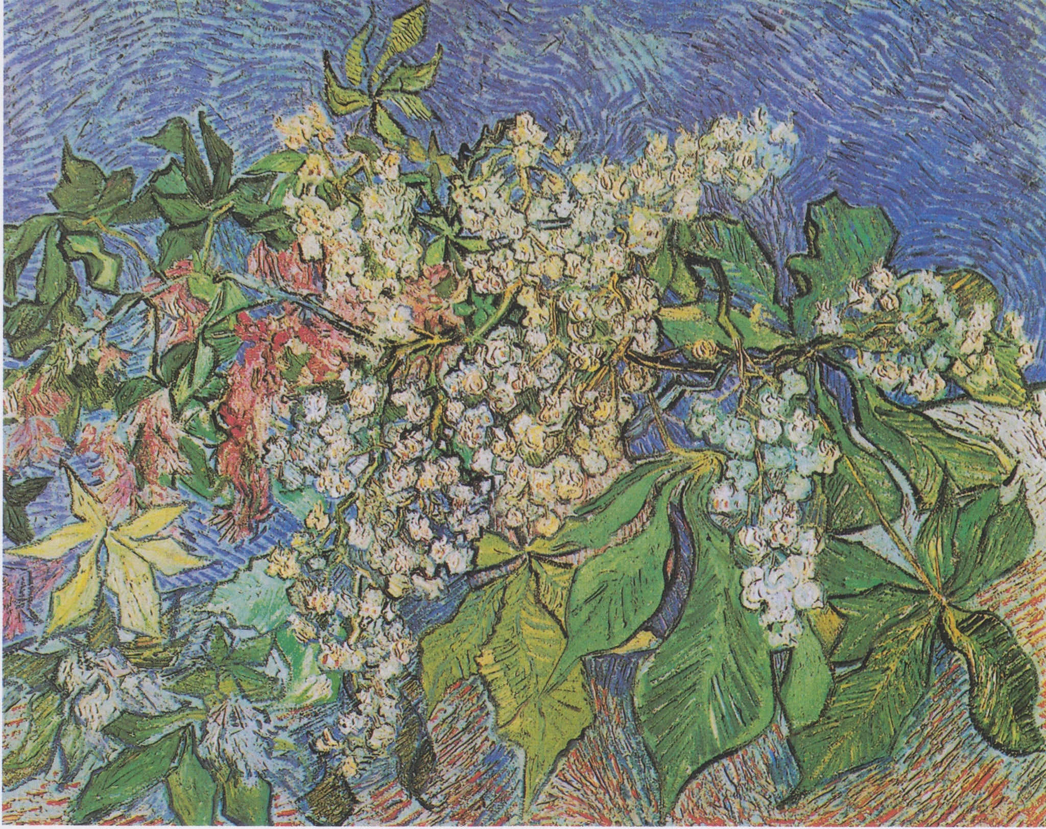 Branches de marronnier en fleurs, nature morte de Vincent van Gogh, mai 1890