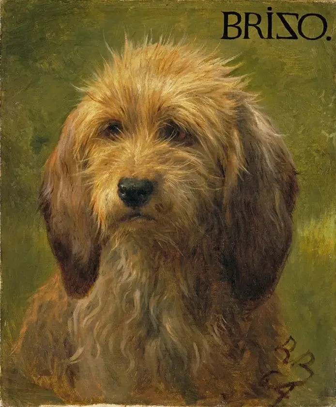 Brizo el perro - Rosa Bonheur