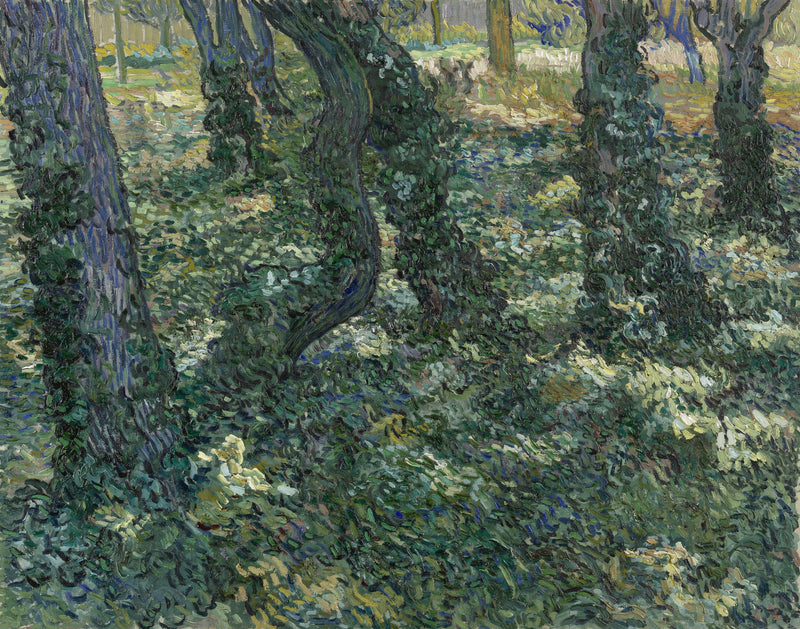 Matorrales - Vincent van Gogh