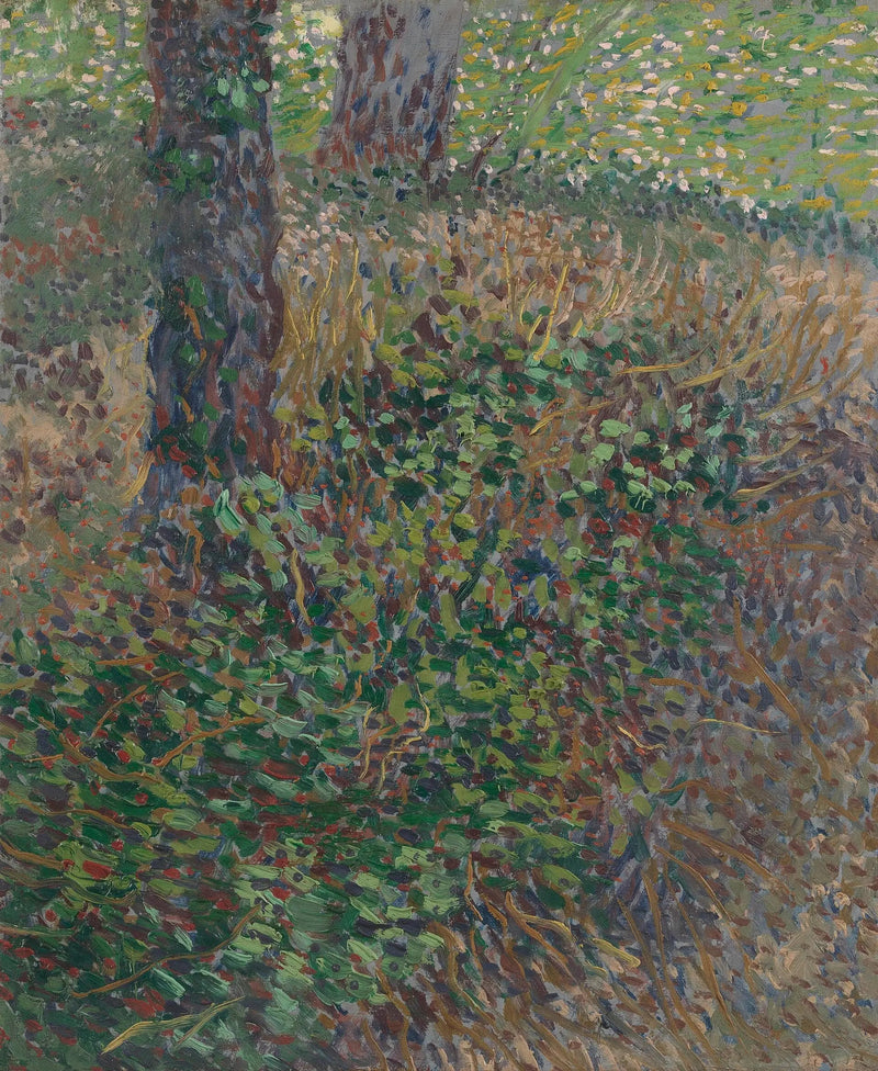 Matorrales - Vincent van Gogh