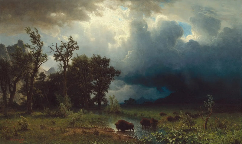 Buffalo Trail: la tormenta inminente - Albert Bierstadt