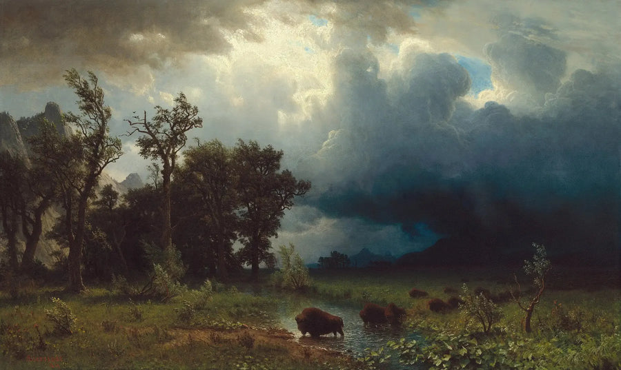 Buffalo Trail: la tormenta inminente - Albert Bierstadt