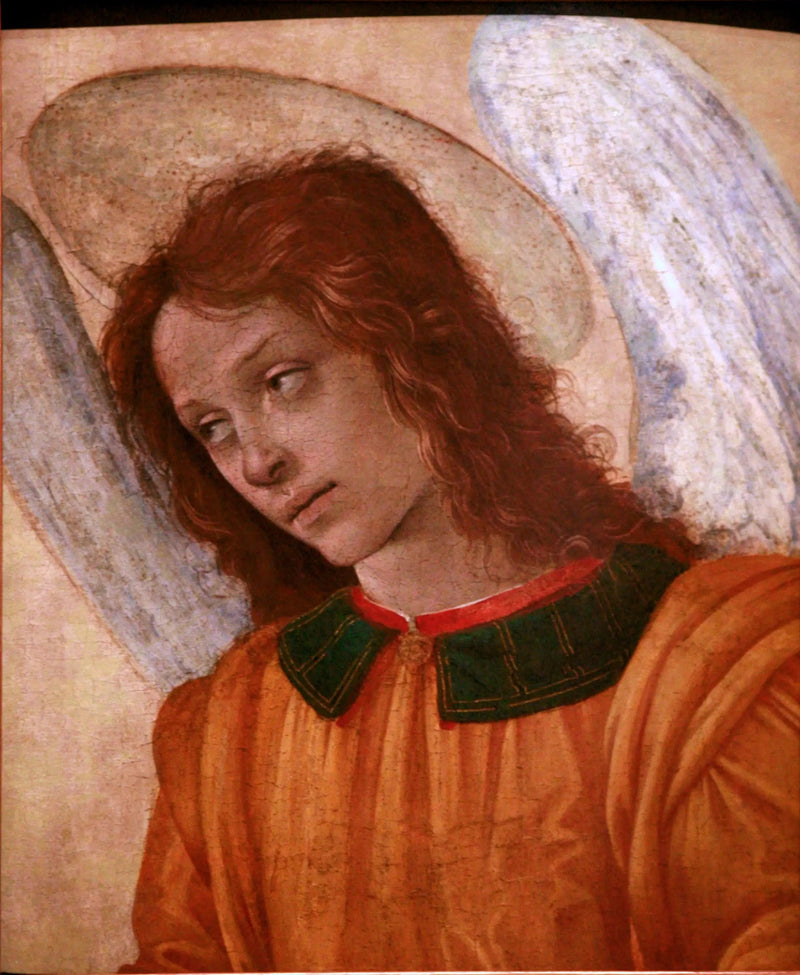 Busto de ángel - Filippino Lippi