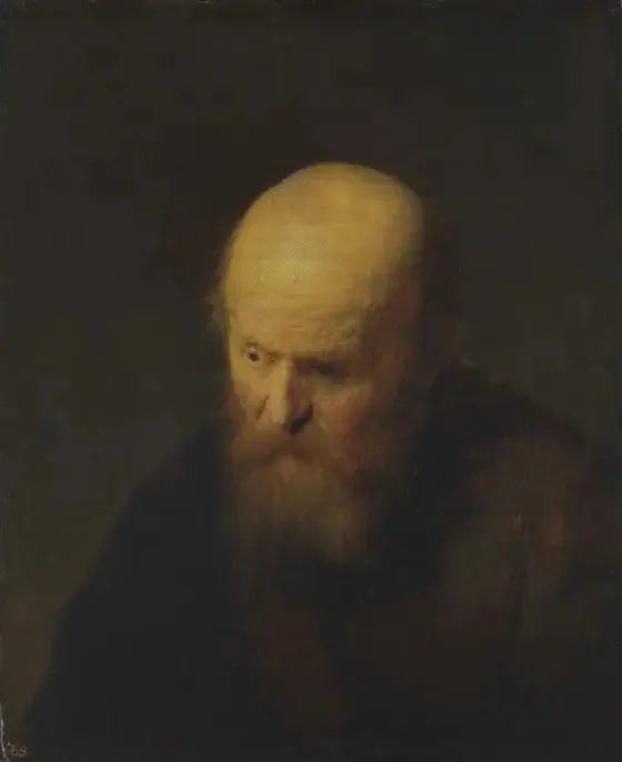 Buste d'un vieil homme à la tête chauve - Rembrandt image 1 reproduction réalisée par Alpha Reproduction