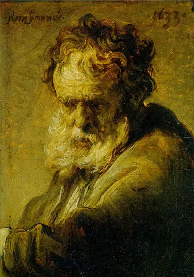 Busto de un anciano barbudo - Rembrandt