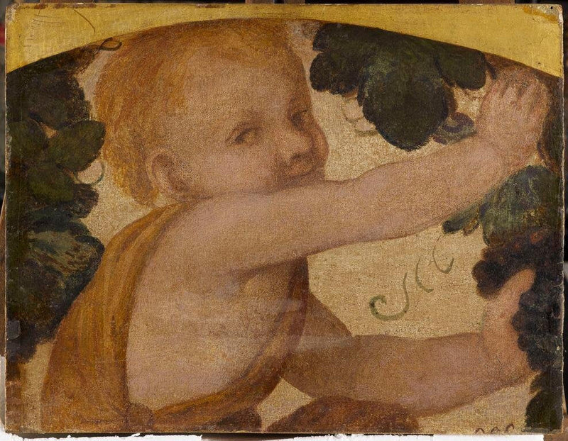 Busto de putto en las parras - Bernardino Luini