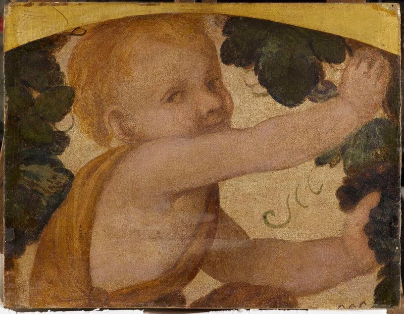 Busto de putto en las parras - Bernardino Luini
