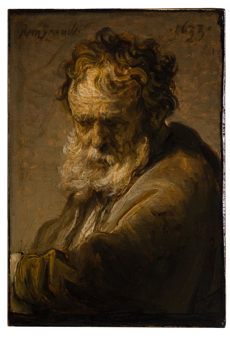 Busto de un anciano barbudo - Rembrandt