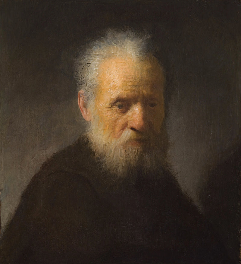 Busto de un anciano barbudo - Rembrandt