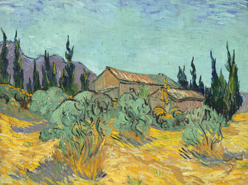 Cabañas de madera entre los olivos y cipreses - Vincent van Gogh