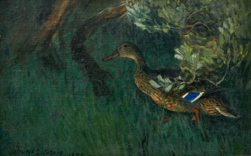 Pato real en la vegetación - Bruno Liljefors